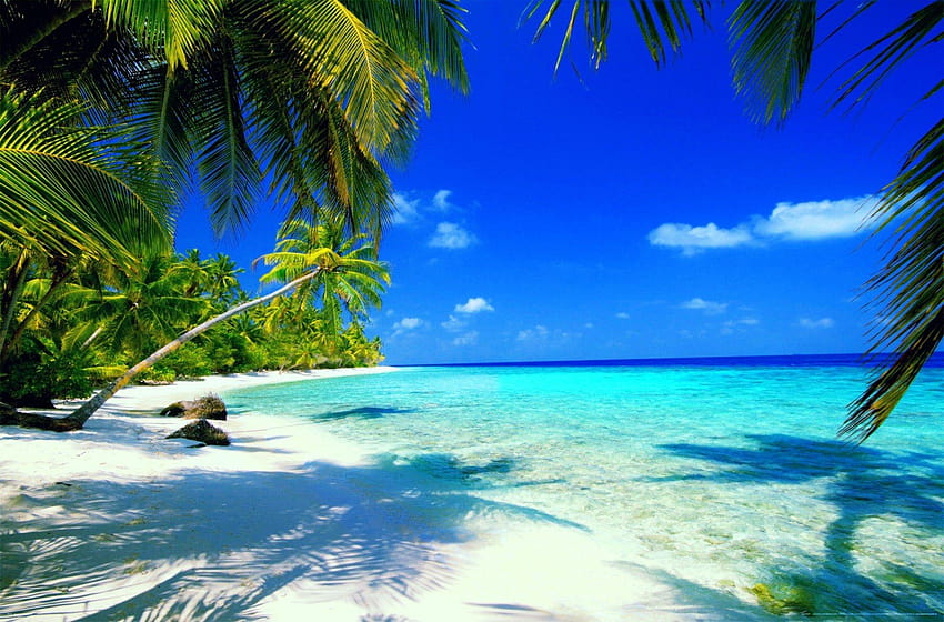Smith’s Elite Travel | Jamaica, Caribbean & Cruise Travel Coaching